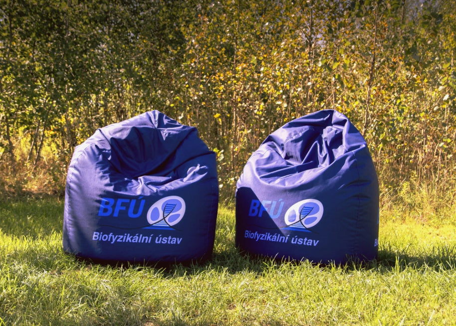 Messe Sitzsack mit Logo Druck