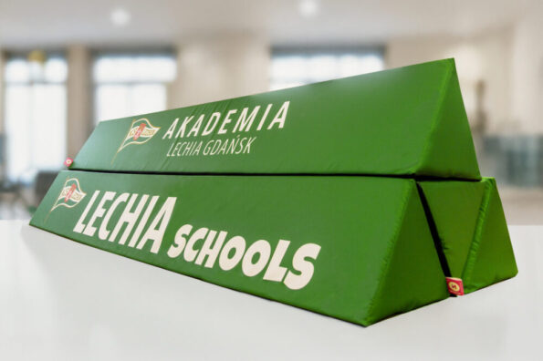 borodocampo traingolare espositore 200x35 con logo