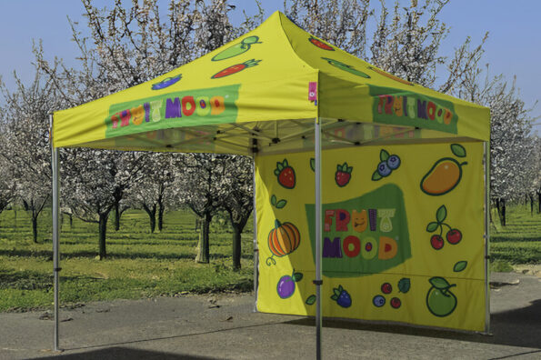 Gazebo 3x3 m con parete di fondo
